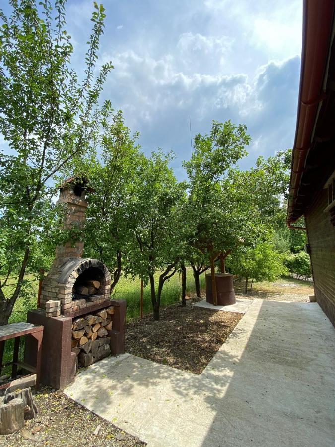 Ab'S Rustic Cabin Dejani Esterno foto